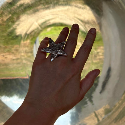 RODEO RING